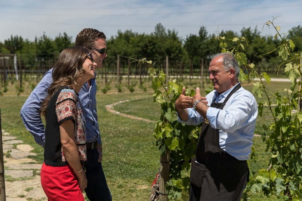 Couple at a vineyard in Florence