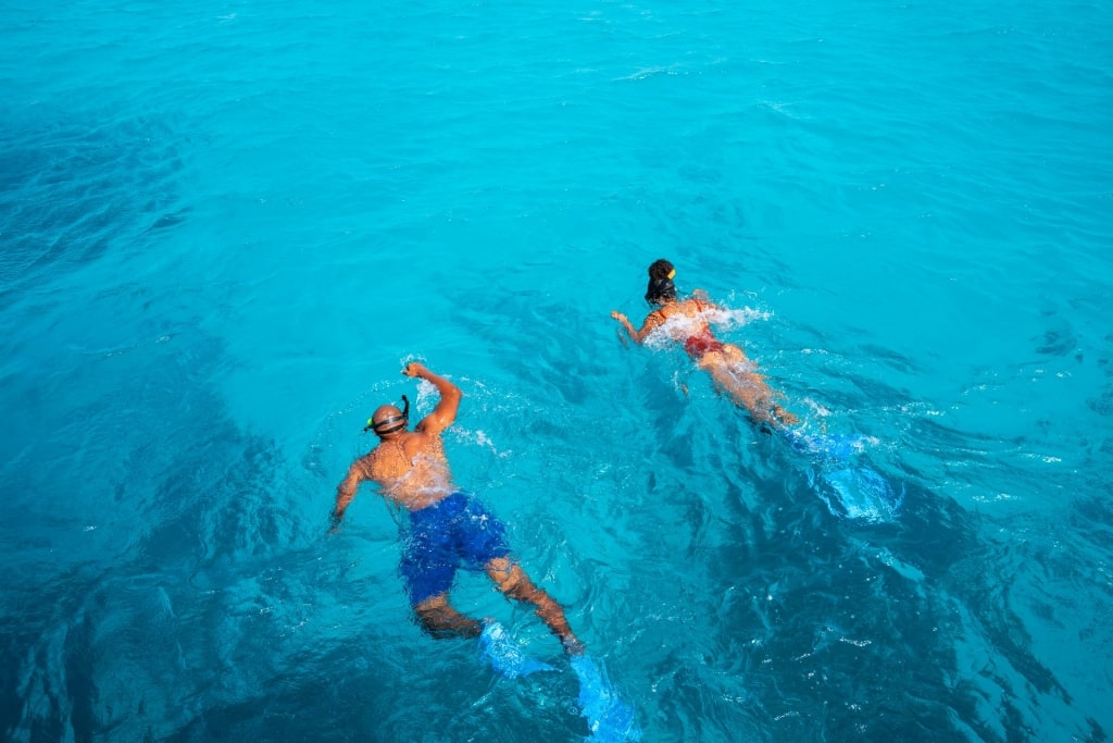 People snorkeling in clear blue waters