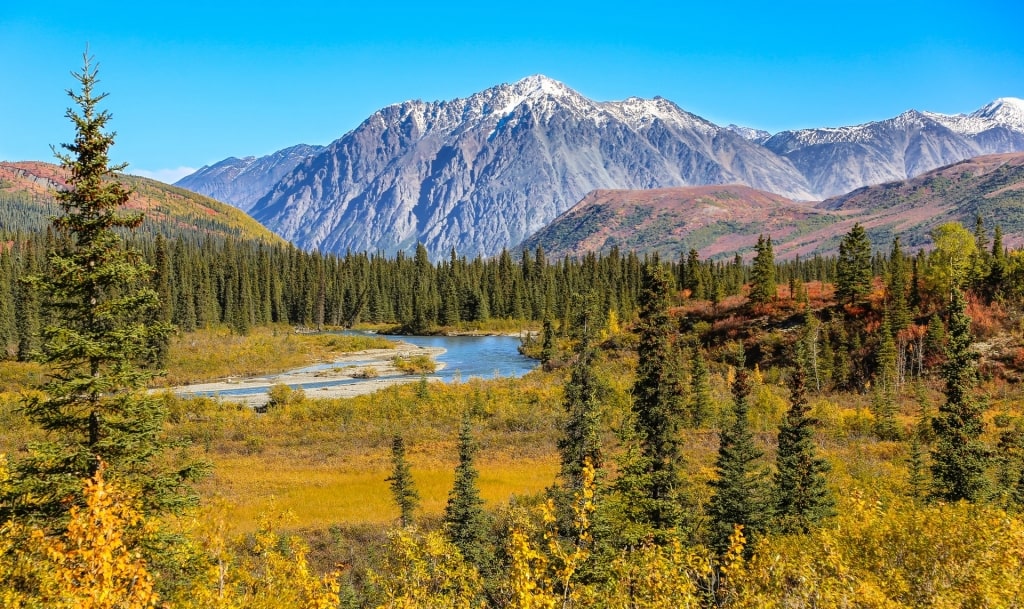 Lush landscape of Denali National Park with mountains