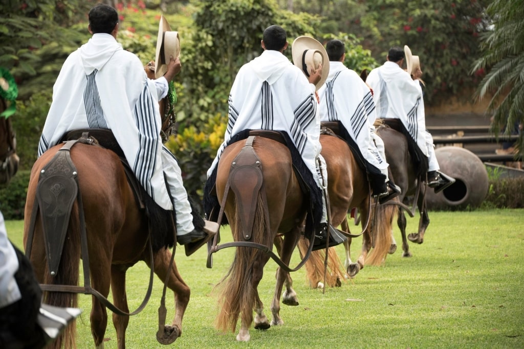 People riding Peruvian Paso horses