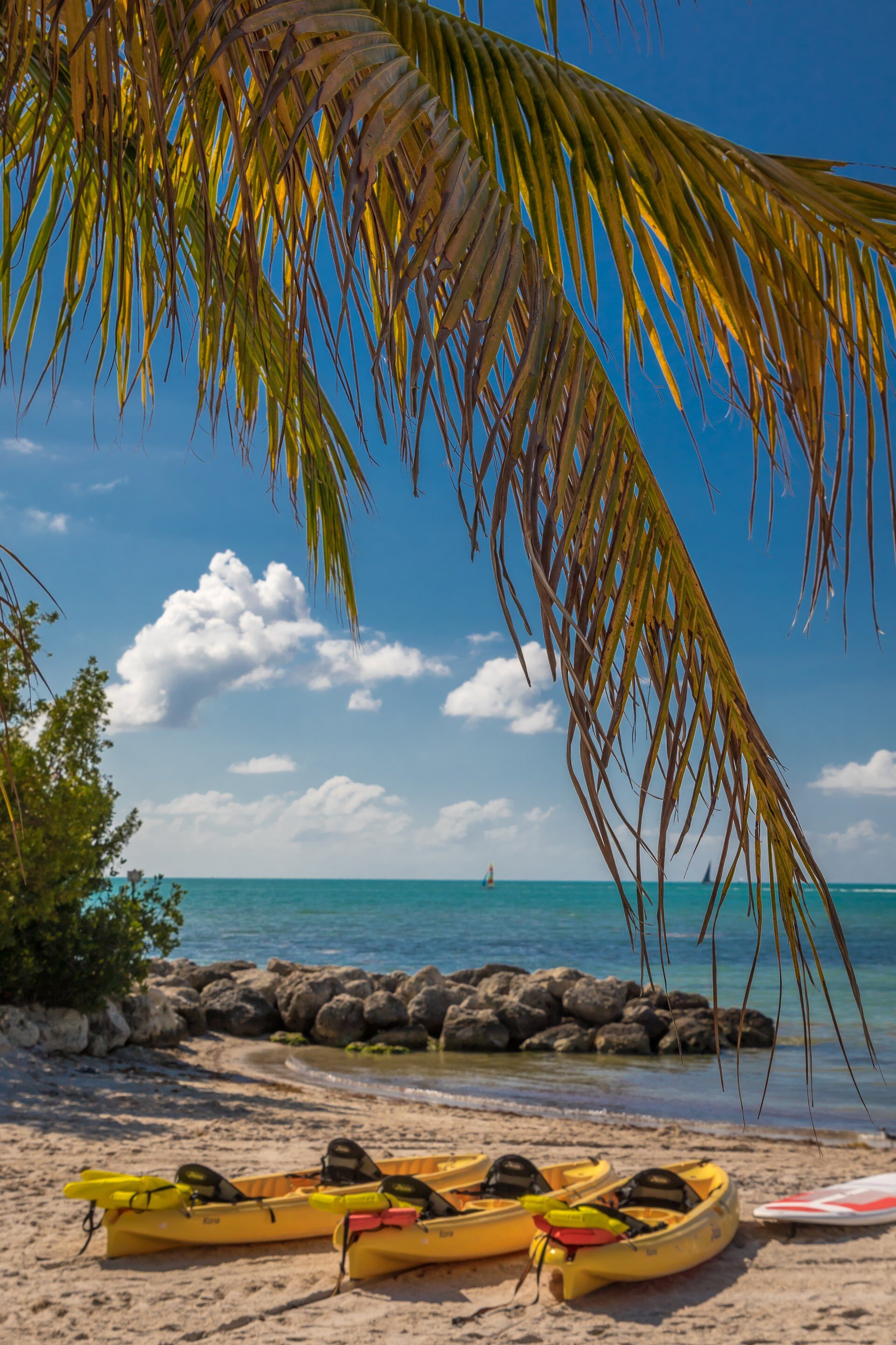 15 Fun Things to Do in Key West With Kids Celebrity Cruises