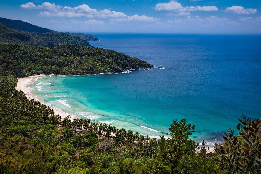 Aerial view of Sabang Beach surrounded by lush trees
