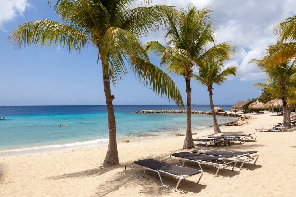 Palm trees lined in Blue Bay Beach, Curacao