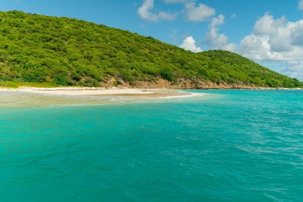 Buck Island, one of the best beaches in the Caribbean