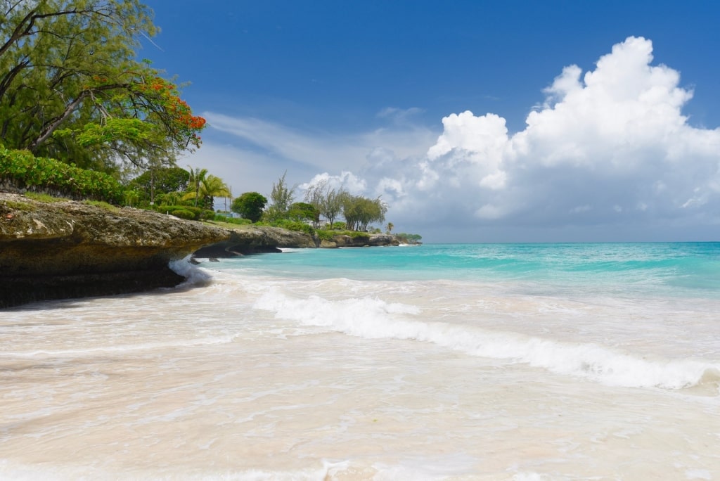 Pristine white sands of Carlisle Bay with clear blue waters