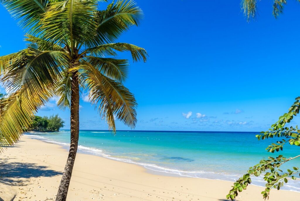 Scenic Mullins Beach, Barbados