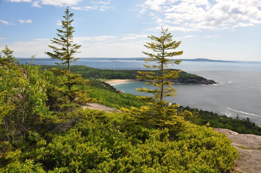 View from Gorham Mountain Trail