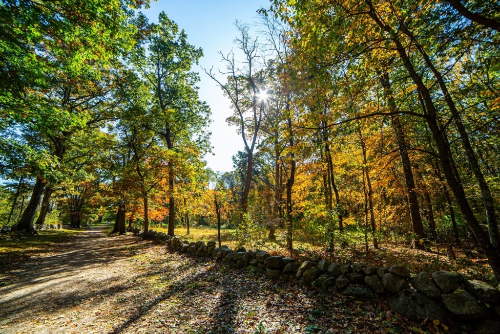 one of the best hikes in New England in Minute Man National Historical Park