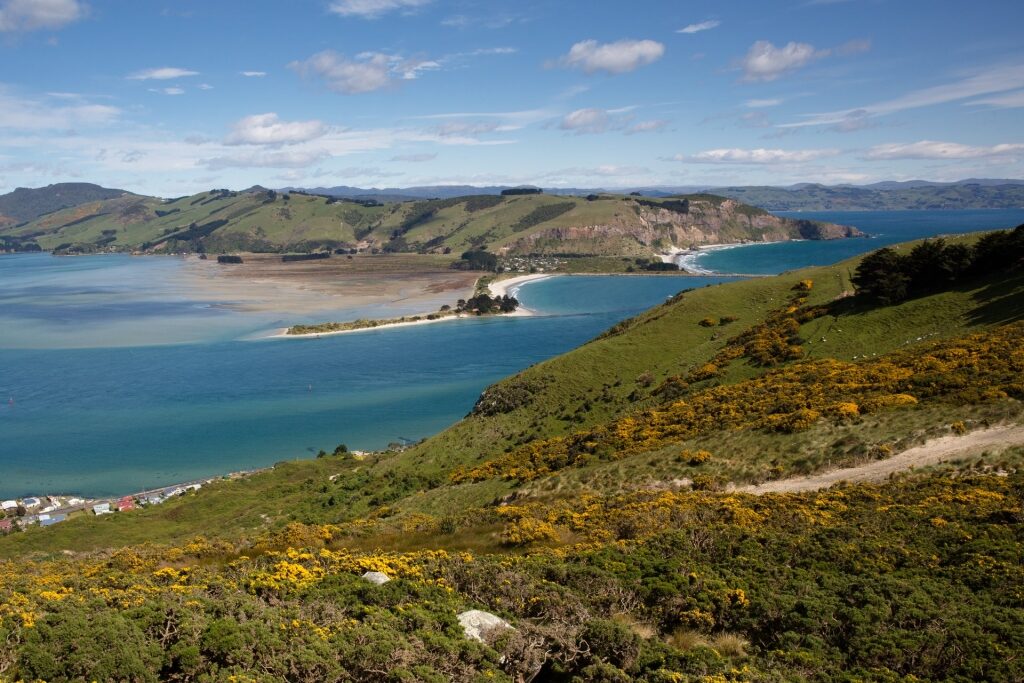 Scenic view of Otago Peninsula