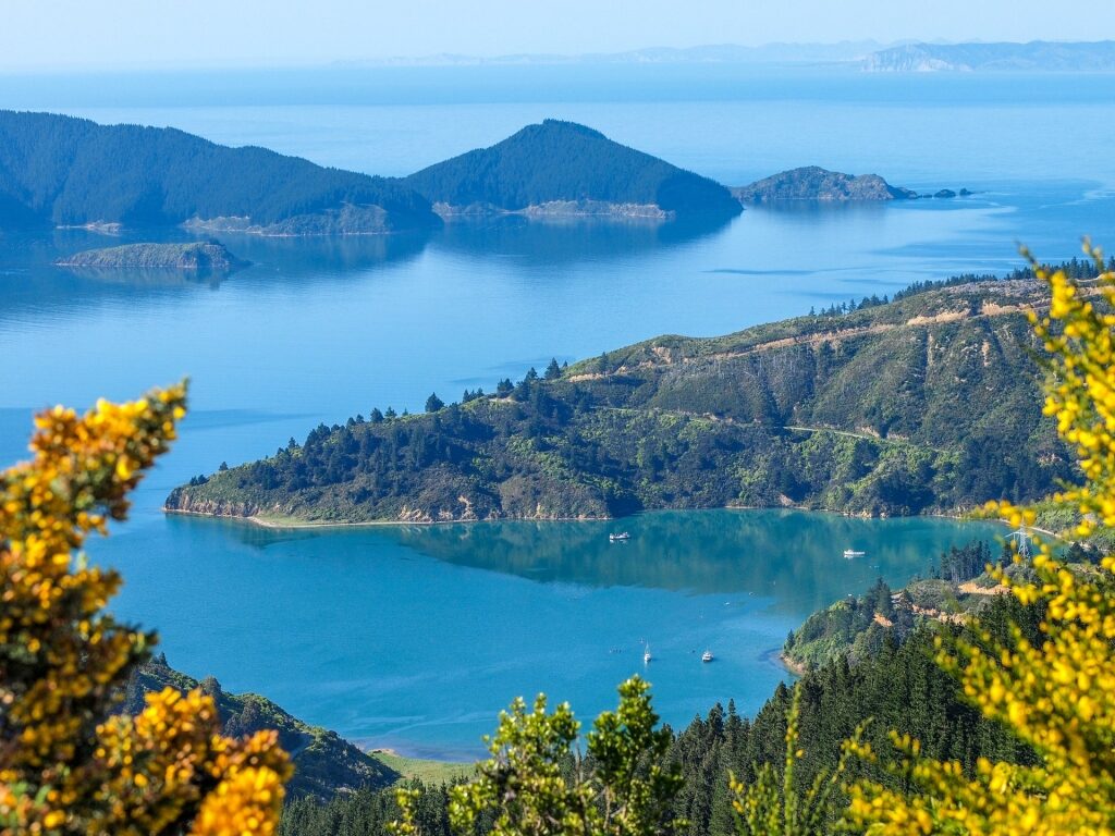 Queen Charlotte Track, one of the best New Zealand hikes