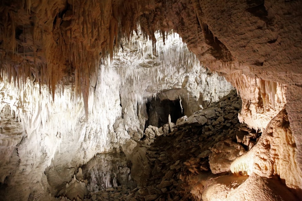 Ruakuri Cave, one of the best New Zealand hikes