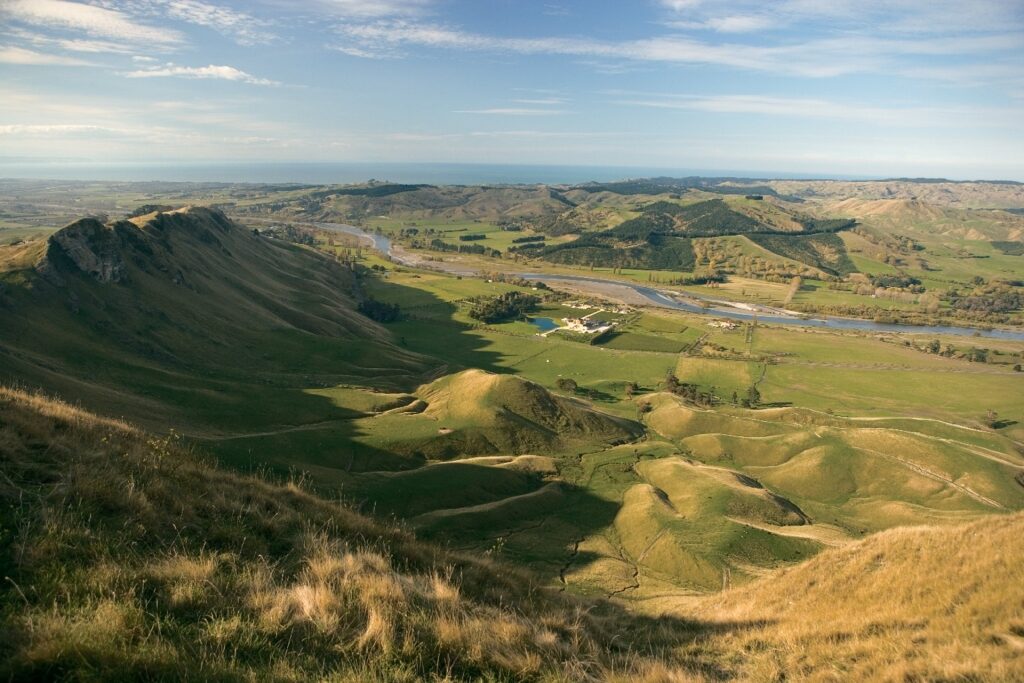 Te Mata Park, one of the best New Zealand hikes