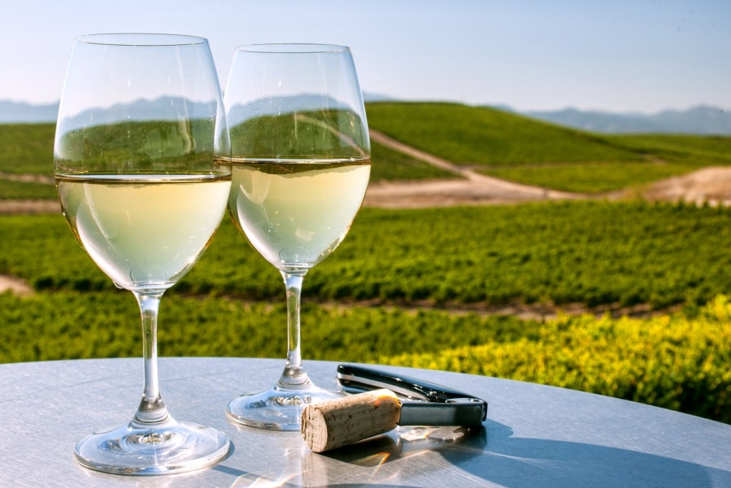 Glasses of Chardonnay with vineyard as backdrop 