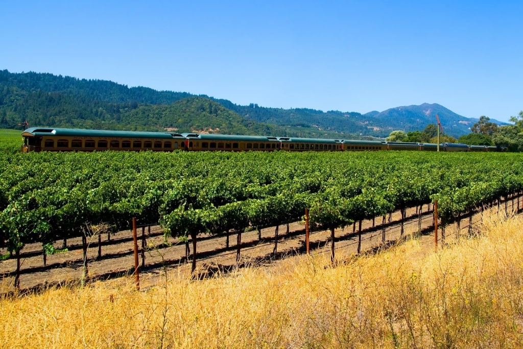 Top California Wine Regions To Visit