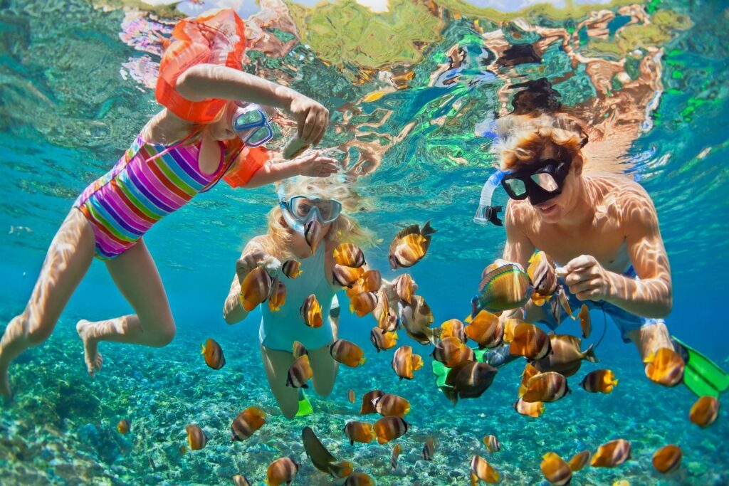 Family snorkeling with colorful fishes