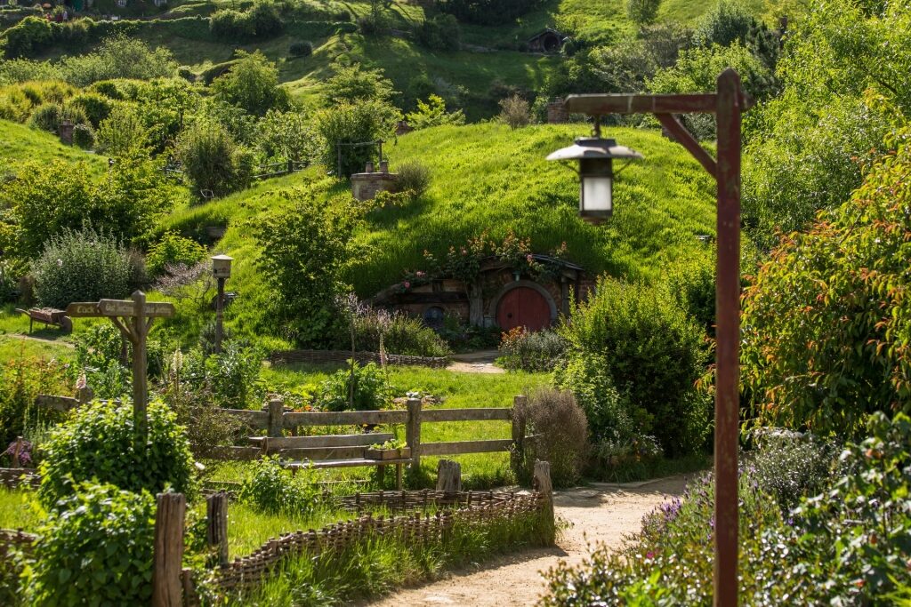 places to visit in New Zealand - Hobbiton
