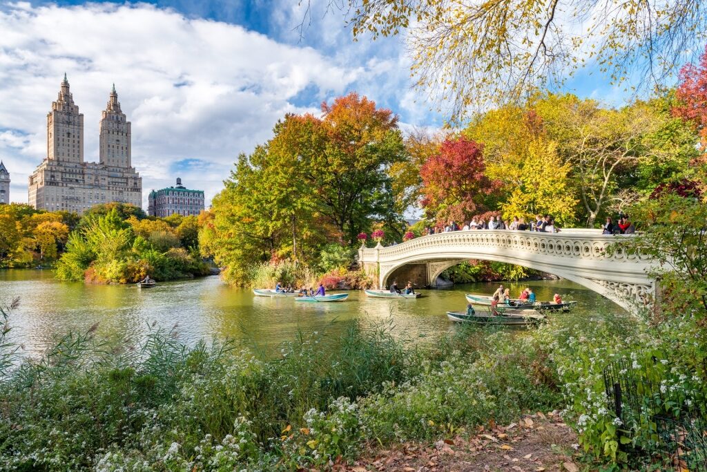 Scenic view of Central Park in autumn