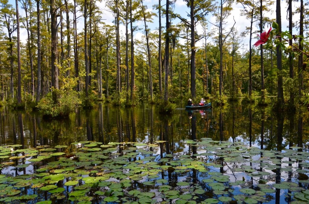 Couple on a rowboat in Cypress Gardens