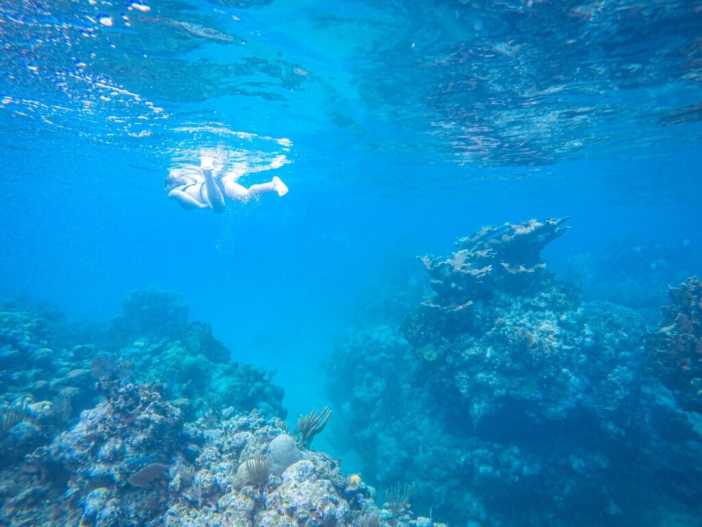 Woman snorkeling in West Bay