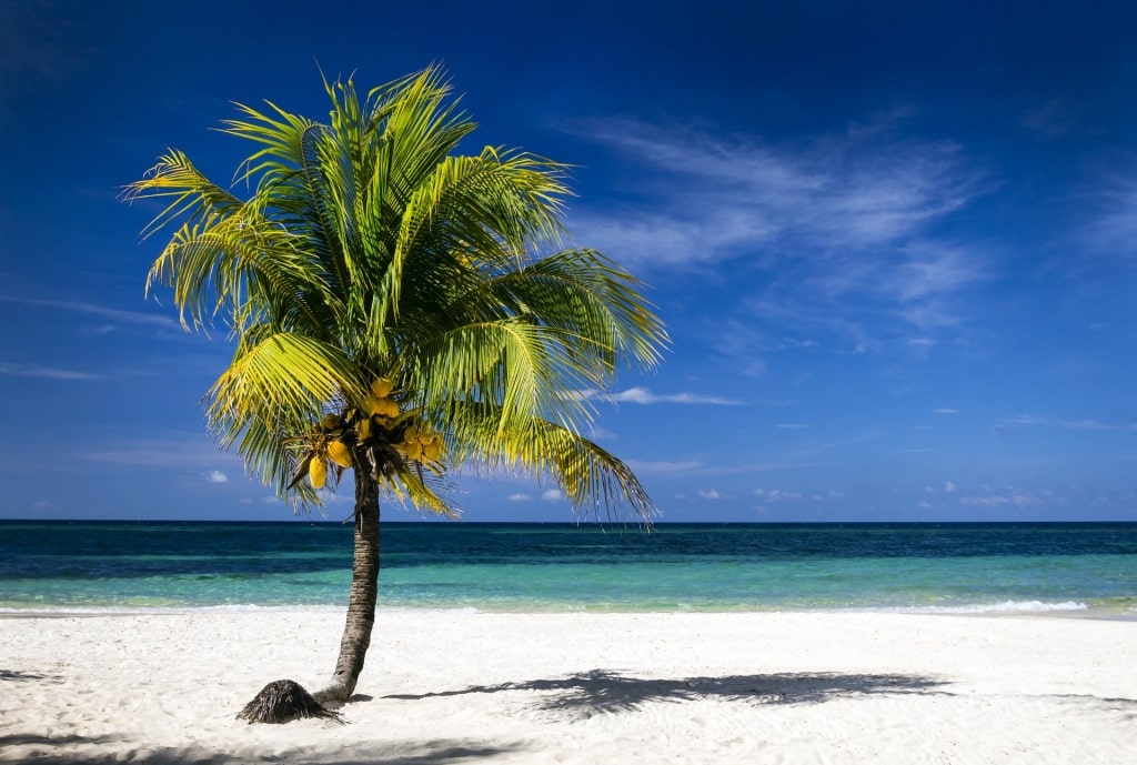 View of the white sand and blue waters of West Bay Beach, Roatan