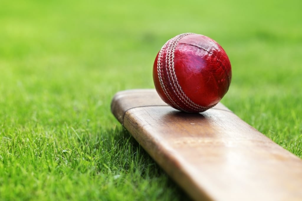 Cricket ball on grass