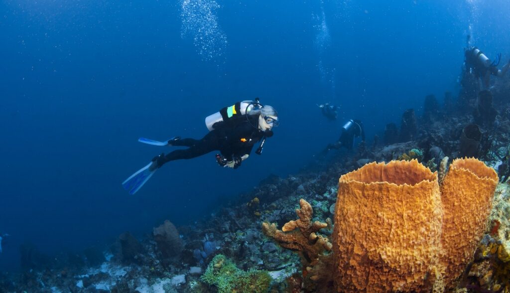 Man diving in Soufriere Marine Reserve