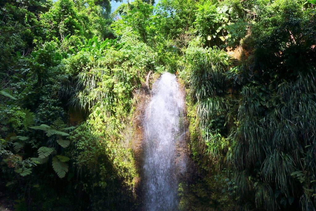 Toraille Waterfall surrounded by lush greenery