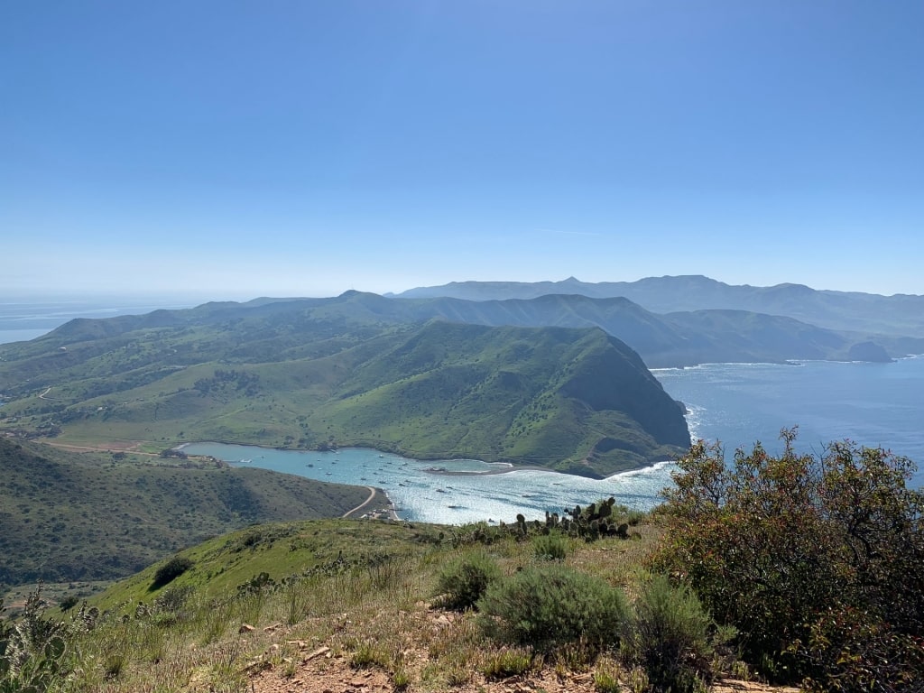 View from Trans Catalina Trail