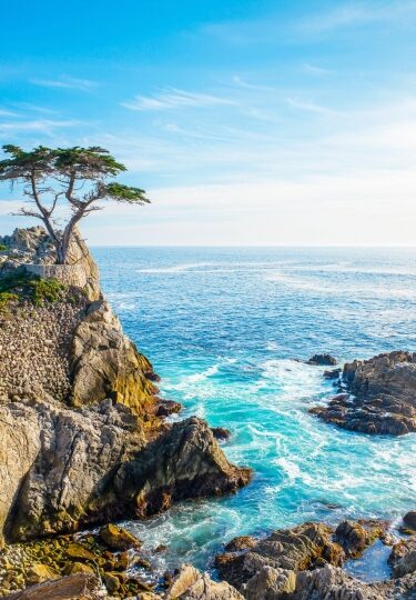 Beautiful view of Pebble Beach with iconic lone cypress tree