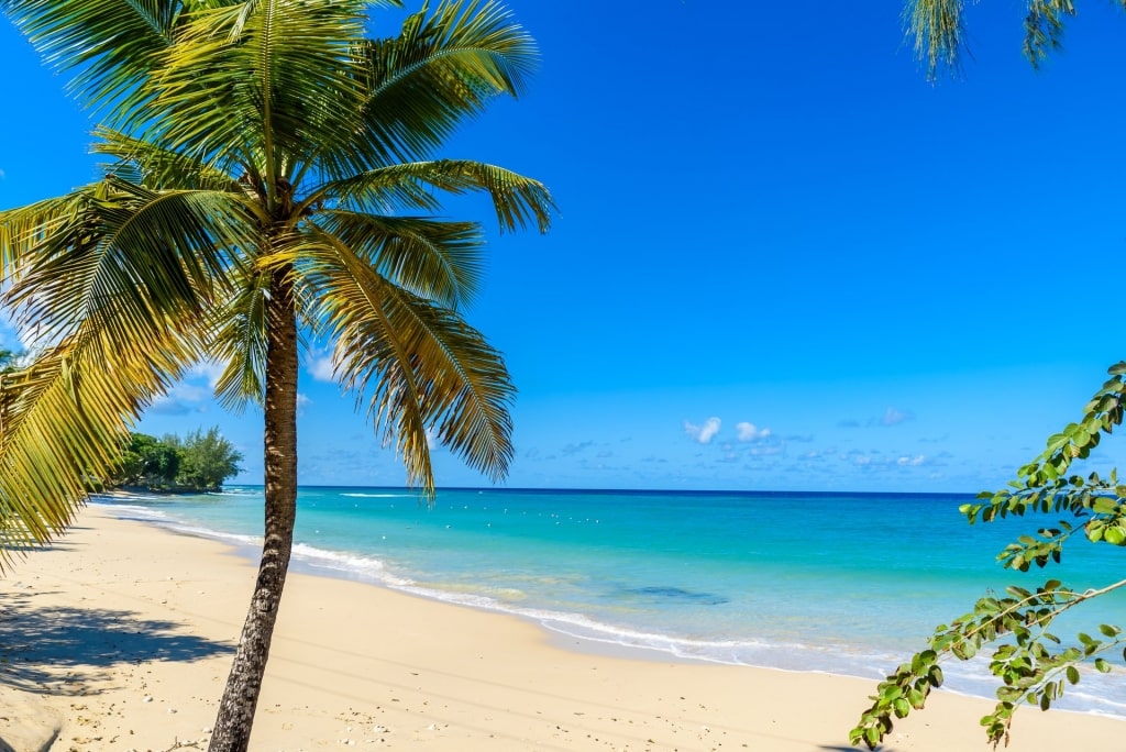 Scenic view of Mullins Beach