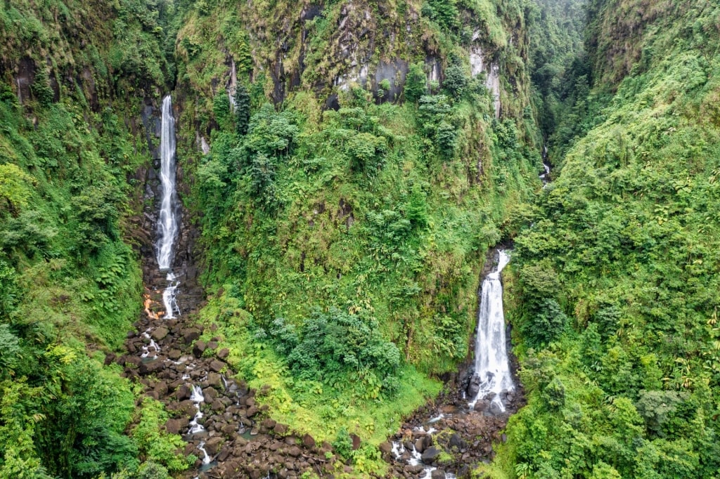 Lush landscape of Trafalgar Falls, Dominica