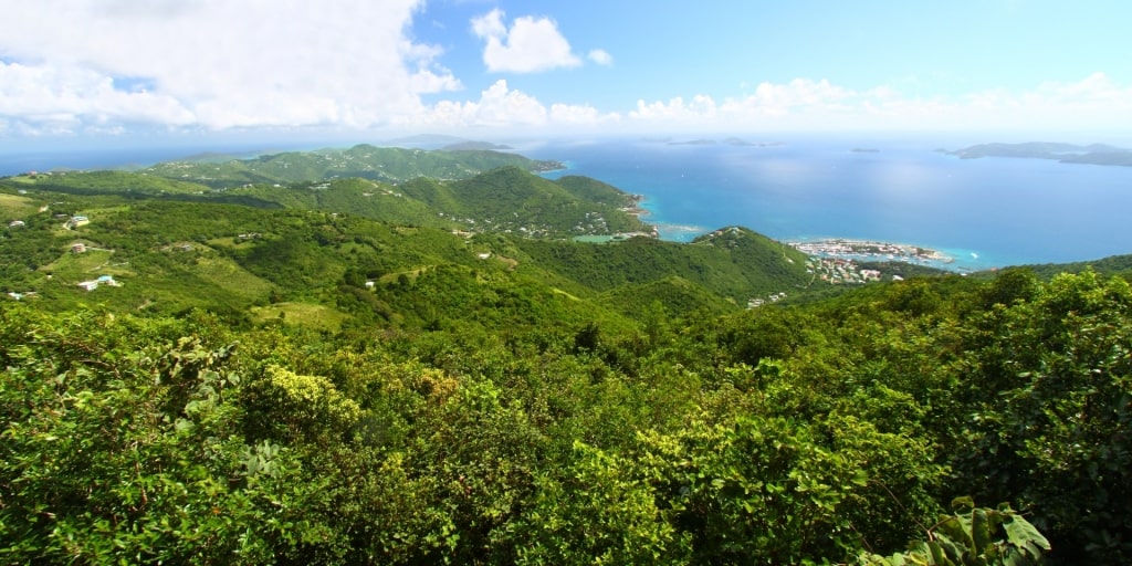 Lush landscape of Sage Mountain in Tortola, British Virgin Islands