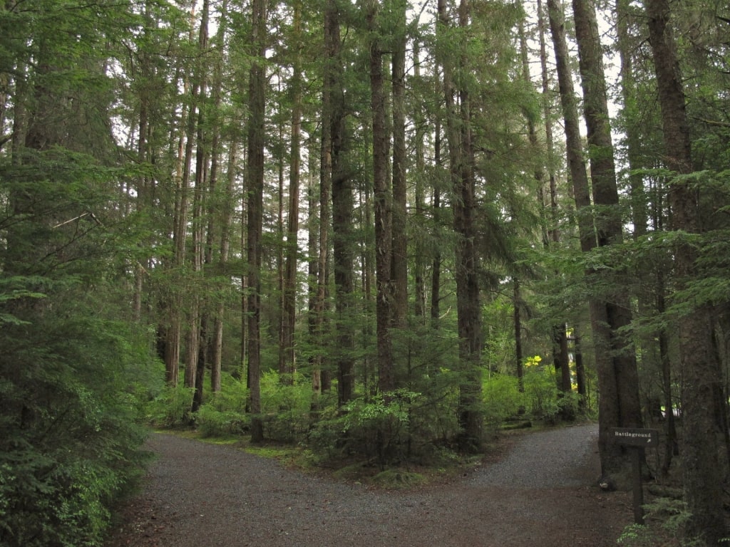 Trail in Sitka National Historical Park