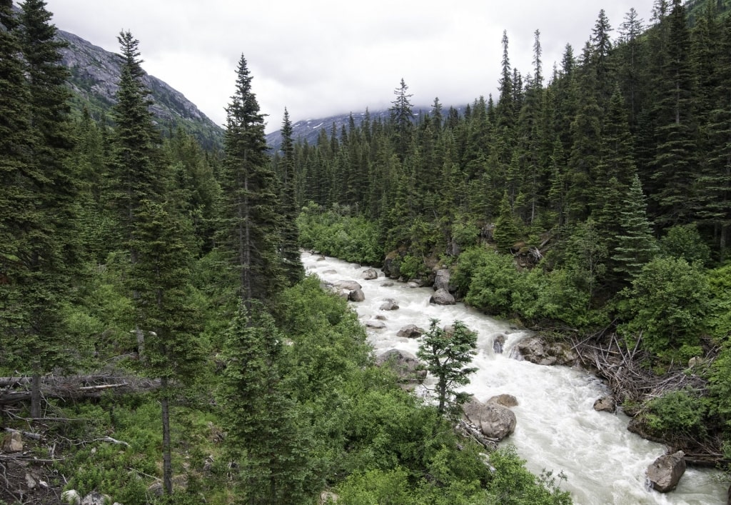 Beautiful Skagway River from Denver Trail