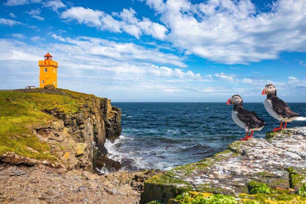 Scenic landscape of Grimsey Island with lighthouse and puffins