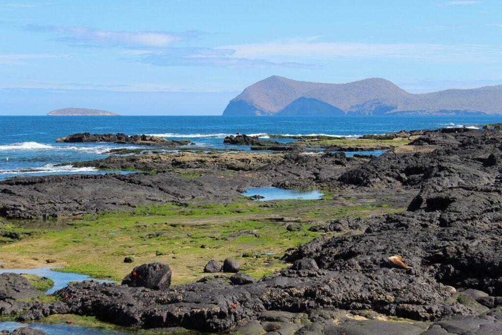 View of Galapagos with hardened black lava and volcanic landscape