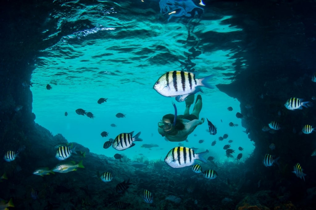 Woman snorkeling in Thunderball Grotto Exuma Cays Land and Sea National Park