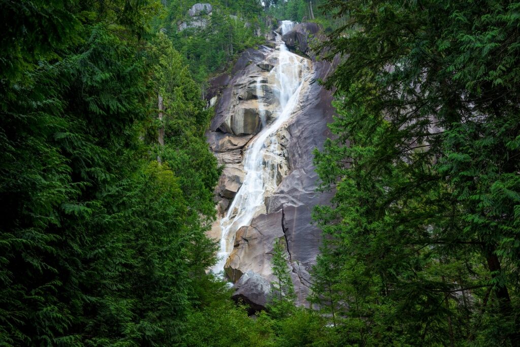 Scenic Shannon Falls surrounded by lush greenery