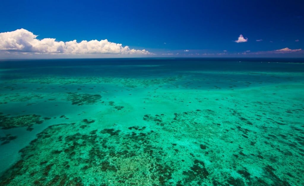 Beautiful water of Moore Reef Pontoon
