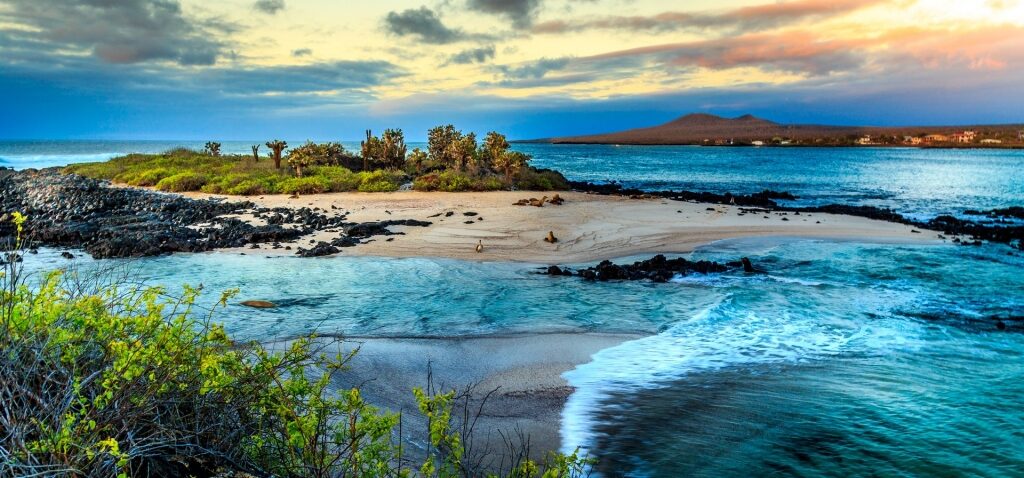 Beautiful island of Galapagos