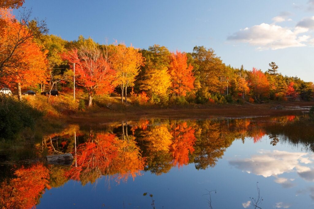 Beautiful fall foliage in Acadia National Park