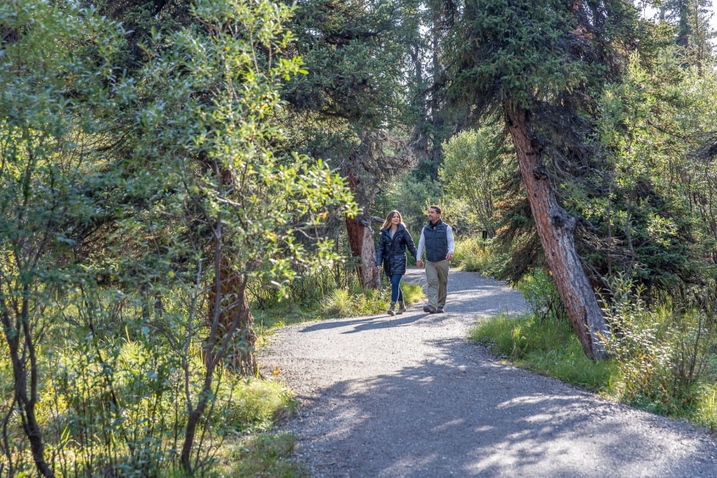 Couple walking in Denali National Park