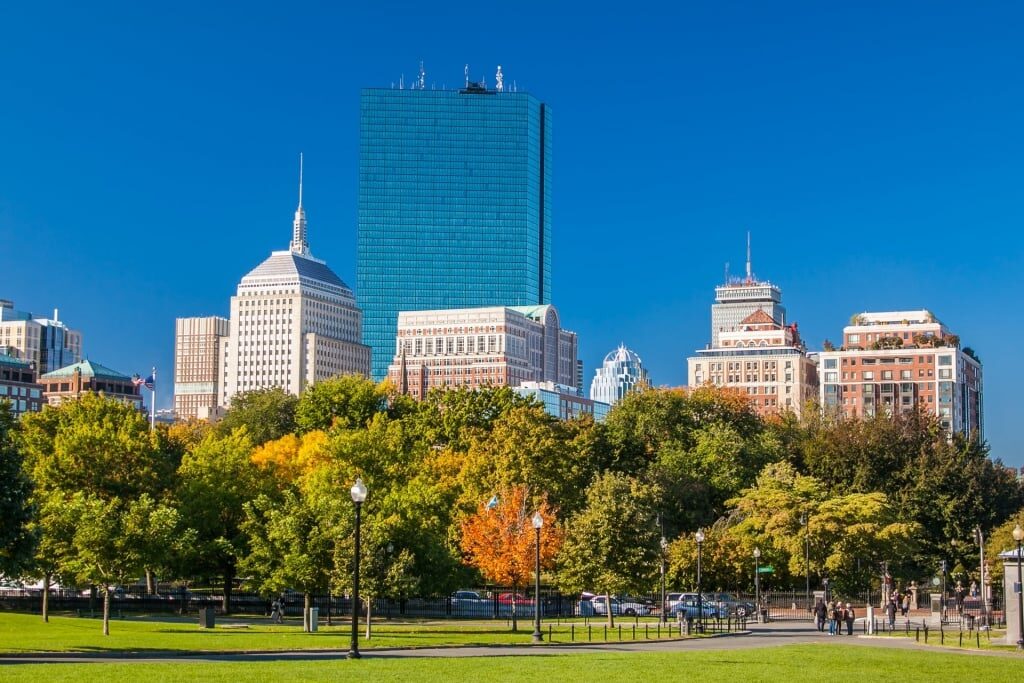 Lush Boston Public Garden with buildings