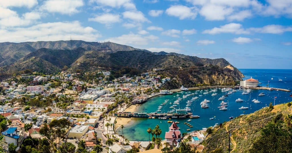 Aerial view of Avalon Harbor