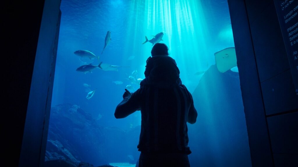People looking at the massive aquarium in Oceanário De Lisboa