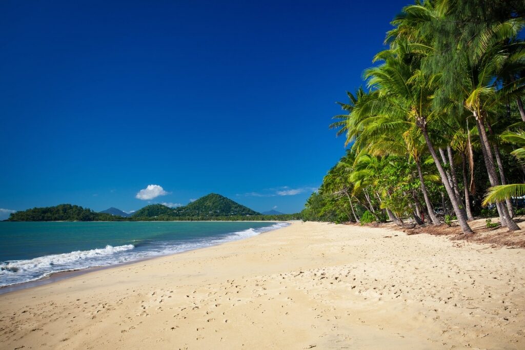 Scenic beach in Palm Cove