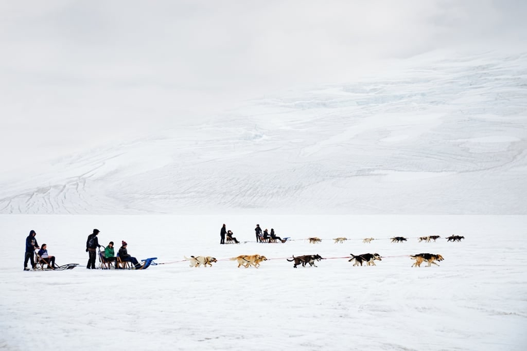 Dog sledding on a snowy path in Alaska