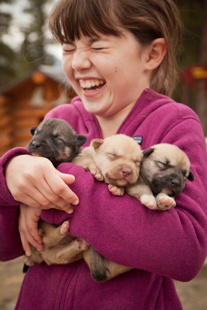 Girl holding puppies in Alaska