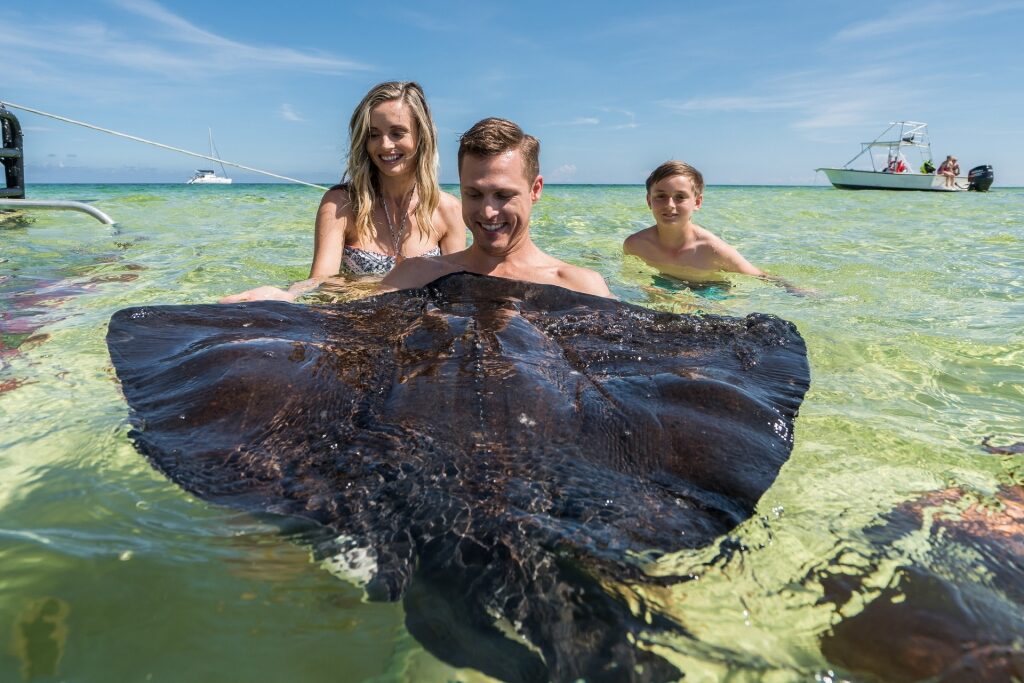 Family swimming with stingrays in Grand Cayman