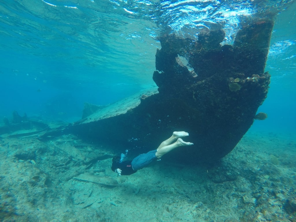 Man snorkeling in the Wreck of the Gamma